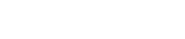 TypeSafe AI